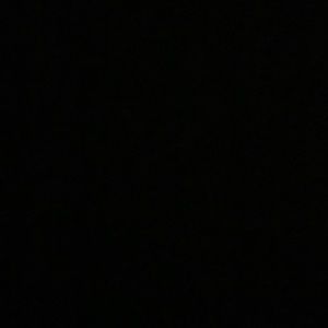 Meet your Posher, Ellie